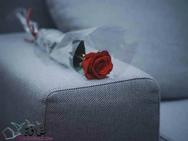 الورود و الزهور اجمل افكار هدايا عيد الام بسيطة-موقع ثقافة.كوم