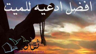 افضل 60 دعاء للميت من القران و السنة افضل 60 دعاء للميت من القران و السنة