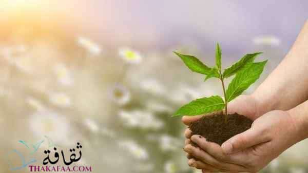 بحث عن البيئة والتلوث ومفهومها ونصائح للحفاظ عليها بحث عن البيئة والتلوث ومفهومها ونصائح للحفاظ عليها