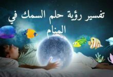 11 تفسير حلم السمك ودلائل الخير في رؤية السمك في المنام 11 تفسير حلم السمك ودلائل الخير في رؤية السمك في المنام