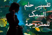 تفسير حلم السمك للمتزوجة لكبار المفسرين الإسلاميين تفسير حلم السمك للمتزوجة لكبار المفسرين الإسلاميين