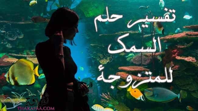 تفسير حلم السمك للمتزوجة لكبار المفسرين الإسلاميين تفسير حلم السمك للمتزوجة لكبار المفسرين الإسلاميين