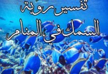 ادق وافضل تفسير رؤية السمك في المنام بأختلاف انواعها ادق وافضل تفسير رؤية السمك في المنام بأختلاف انواعها