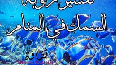 ادق وافضل تفسير رؤية السمك في المنام بأختلاف انواعها ادق وافضل تفسير رؤية السمك في المنام بأختلاف انواعها