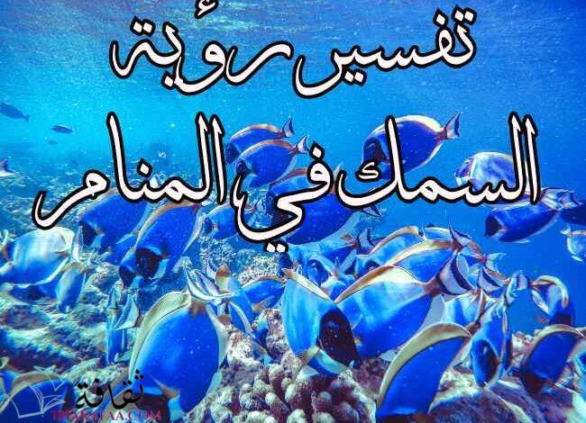 ادق وافضل تفسير رؤية السمك في المنام بأختلاف انواعها ادق وافضل تفسير رؤية السمك في المنام بأختلاف انواعها
