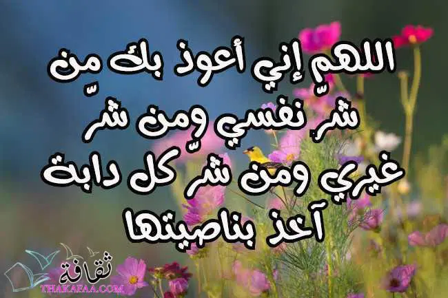 دعاء سورة يس مكتوبة كاملة
