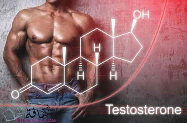 ما هو هرمون التستوستيرون؟