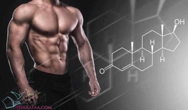ما هو هرمون التستوستيرون؟ أعراضه واسباب انخفاضه وزيادته وطرق علاجه ما هو هرمون التستوستيرون؟ أعراضه واسباب انخفاضه وزيادته وطرق علاجه