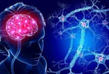 أشهر وأفضل دكتور مخ واعصاب في القاهرة 2023 أشهر وأفضل دكتور مخ واعصاب في القاهرة 2023