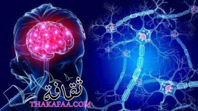 أشهر وأفضل دكتور مخ واعصاب في القاهرة 2023