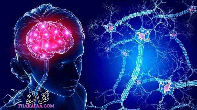 أشهر وأفضل دكتور مخ واعصاب في القاهرة 2023 أشهر وأفضل دكتور مخ واعصاب في القاهرة 2023