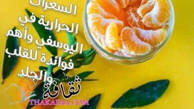 السعرات الحرارية في اليوسفي وأهم فوائدة للقلب والجلد السعرات الحرارية في اليوسفي وأهم فوائدة للقلب والجلد