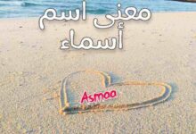 معنى اسم أسماء وشخصيتها وصفاتها وكتابتها بالعربي والانجليزي ومزخرفة معنى اسم أسماء وشخصيتها وصفاتها وكتابتها بالعربي والانجليزي ومزخرفة
