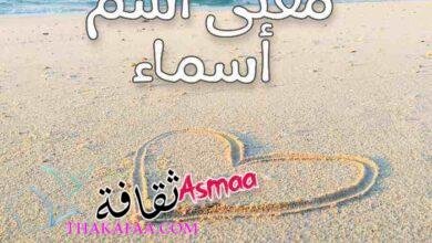 معنى اسم أسماء وشخصيتها وصفاتها وكتابتها بالعربي والانجليزي ومزخرفة معنى اسم أسماء وشخصيتها وصفاتها وكتابتها بالعربي والانجليزي ومزخرفة