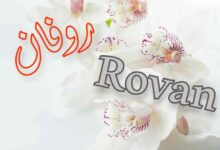 أدق معنى اسم روفان Rovan وصفات حاملة هذا الاسم وسماتة أدق معنى اسم روفان Rovan وصفات حاملة هذا الاسم وسماتة