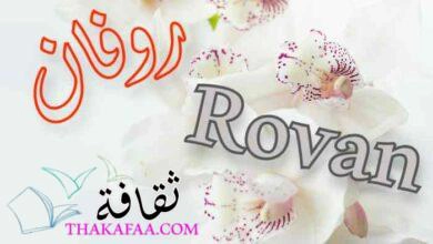 أدق معنى اسم روفان Rovan وصفات حاملة هذا الاسم وسماتة
