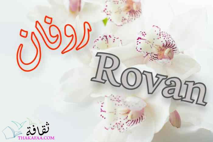 معنى اسم روفان Rovan وصفاته