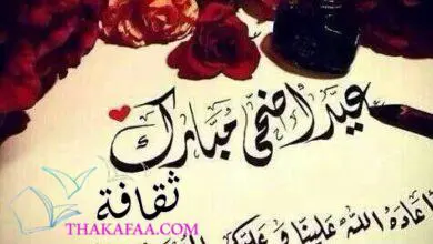 أرق رسائل تهنئة عيد الأضحى للأهل والأصدقاء والأقارب