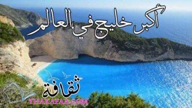 ما هو أكبر خليج في العالم ؟ تفاصيل أكبر خلجان العالم ما هو أكبر خليج في العالم ؟ تفاصيل أكبر خلجان العالم
