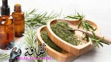 13 أهم فوائد إكليل الجبل للشعر 13 أهم فوائد إكليل الجبل للشعر