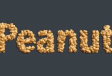 أهم فوائد الفول السوداني للرجال والنساء والأطفال أهم فوائد الفول السوداني للرجال والنساء والأطفال