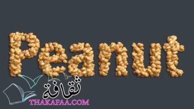 أهم فوائد الفول السوداني للرجال والنساء والأطفال أهم فوائد الفول السوداني للرجال والنساء والأطفال