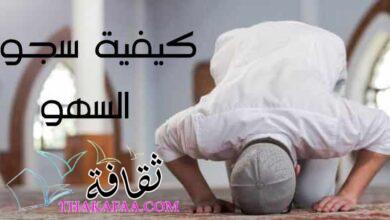 صفة وكيفية سجود السهو واسبابها وأهم أنواع سجود السهو صفة وكيفية سجود السهو واسبابها وأهم أنواع سجود السهو