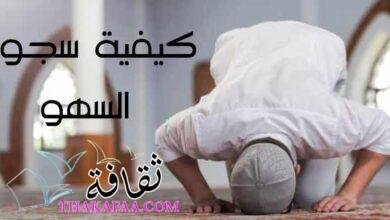 صفة وكيفية سجود السهو واسبابها وأهم أنواع سجود السهو صفة وكيفية سجود السهو واسبابها وأهم أنواع سجود السهو