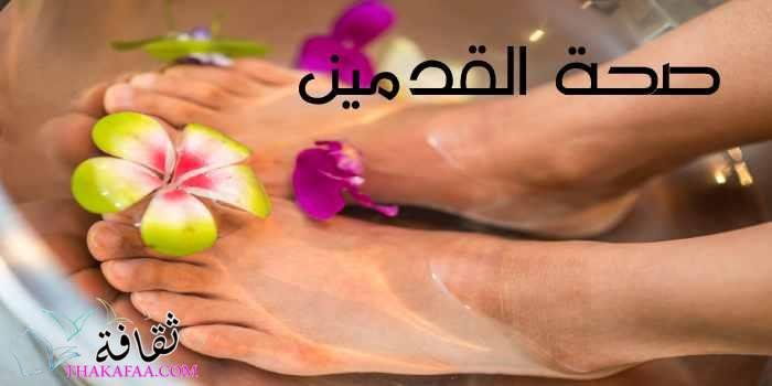 كل ما عليك معرفته عن القدم وأجزائها وطريقة تدليك القدمين كل ما عليك معرفته عن القدم وأجزائها وطريقة تدليك القدمين