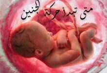 متى تبدأ حركة الجنين وكيف تشعر الحامل بحركته متى تبدأ حركة الجنين وكيف تشعر الحامل بحركته