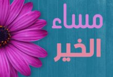 أجمل عبارات مساء الخير مكتوبة رائعة ورقيقة ومعبرة أجمل عبارات مساء الخير مكتوبة رائعة ورقيقة ومعبرة
