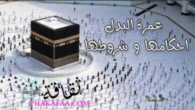 عمرة البدل احكامها و شروطها وأفضل الشركات التي تقدمها عمرة البدل احكامها و شروطها وأفضل الشركات التي تقدمها