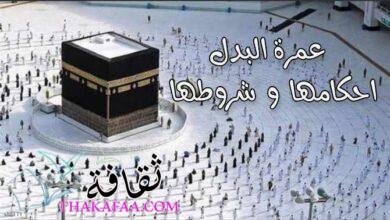 عمرة البدل احكامها و شروطها وأفضل الشركات التي تقدمها عمرة البدل احكامها و شروطها وأفضل الشركات التي تقدمها
