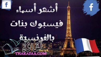 أشهر أسماء فيسبوك بنات بالفرنسية ومعانيها مزخرفة يقبلها الفيس بوك أشهر أسماء فيسبوك بنات بالفرنسية ومعانيها مزخرفة يقبلها الفيس بوك