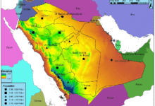 كم عدد سكان السعودية المواطنين؟ بالتفصل اخر تحديث كم عدد سكان السعودية المواطنين؟ بالتفصل اخر تحديث