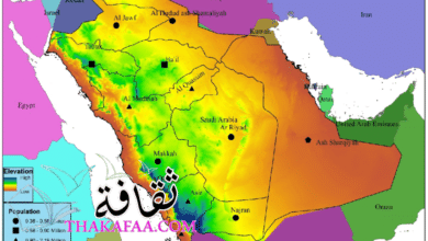 كم عدد سكان السعودية المواطنين؟ بالتفصل اخر تحديث كم عدد سكان السعودية المواطنين؟ بالتفصل اخر تحديث