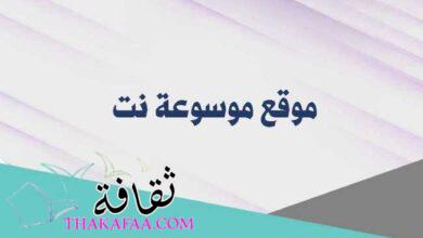 موسوعة نت أكبر شبكة إعلامية في الوطن العربي موسوعة نت أكبر شبكة إعلامية في الوطن العربي