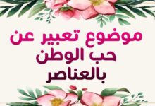 أحدث موضوع تعبير عن الوطن بالعناصر شامل المقدمة والخاتمة أحدث موضوع تعبير عن الوطن بالعناصر شامل المقدمة والخاتمة