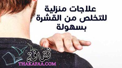 7 علاجات منزلية للقشرة للتخلص من قشرة الرأس بسهولة 2022 7 علاجات منزلية للقشرة للتخلص من قشرة الرأس بسهولة 2022