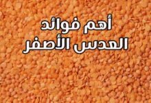 أهم 18 فوائد للعدس الأصفر لابد من استغلالها لصحتك في المنزل أهم 18 فوائد للعدس الأصفر لابد من استغلالها لصحتك في المنزل