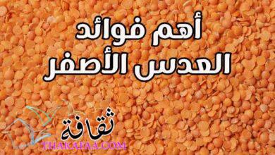 أهم 18 فوائد للعدس الأصفر لابد من استغلالها لصحتك في المنزل أهم 18 فوائد للعدس الأصفر لابد من استغلالها لصحتك في المنزل