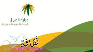 الاستعلام عن حالة الضمان الاجتماعي بالسجل المدني 1443 الاستعلام عن حالة الضمان الاجتماعي بالسجل المدني 1443
