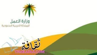 الاستعلام عن حالة الضمان الاجتماعي بالسجل المدني 1443 الاستعلام عن حالة الضمان الاجتماعي بالسجل المدني 1443