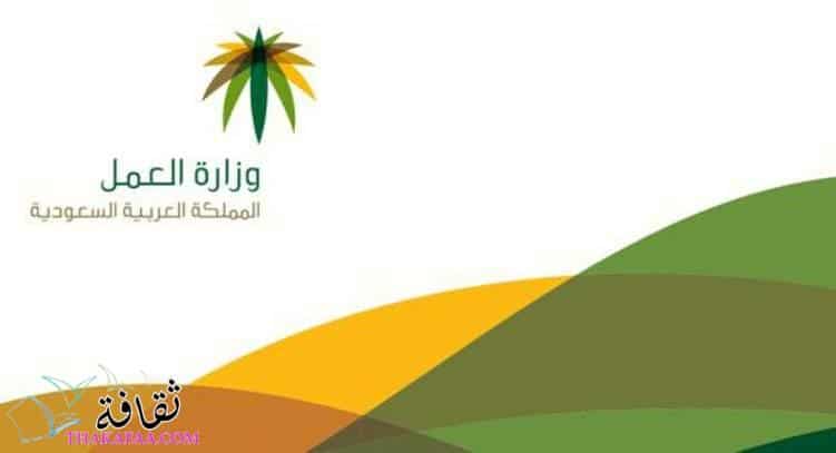 الاستعلام عن حالة الضمان الاجتماعي بالسجل المدني 1443 الاستعلام عن حالة الضمان الاجتماعي بالسجل المدني 1443