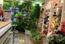 +220 افكار اسماء محلات زهور مبتكرة وجديدة ومميزة 2022 +220 افكار اسماء محلات زهور مبتكرة وجديدة ومميزة 2022