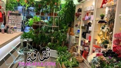 +220 افكار اسماء محلات زهور مبتكرة وجديدة ومميزة 2022 +220 افكار اسماء محلات زهور مبتكرة وجديدة ومميزة 2022