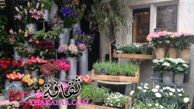 +200 اسماء محلات ورد بالانجليزي مميزة وجذابة 2022 +200 اسماء محلات ورد بالانجليزي مميزة وجذابة 2022