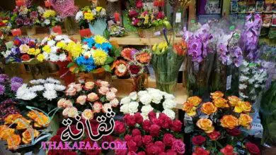مجموعة +200 اسماء محلات ورد بالعربي مميزة و فريدة وجذابة 2022
