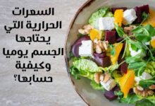 كم السعرات الحرارية التي يحتاجها الجسم يوميا وكيف أحسبها؟ كم السعرات الحرارية التي يحتاجها الجسم يوميا وكيف أحسبها؟