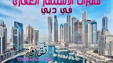 اهم مميزات الاستثمار العقاري في دبي 2022 اهم مميزات الاستثمار العقاري في دبي 2022